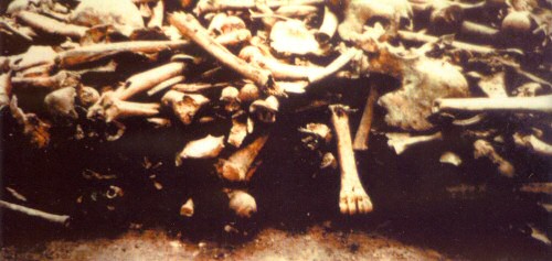 A photo of the heaped bones found in the vicarage garden